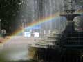 Rainbows and fountains in the park